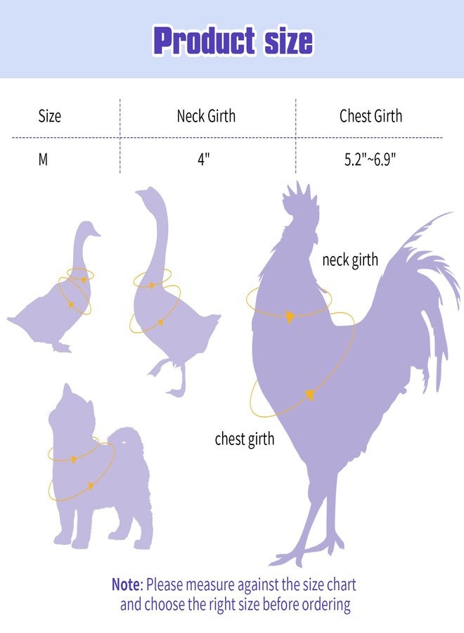 LUODAKA 4Pcs Adjustable Chicken Harness Safe Convenient Breathable Comfortable Suitable for Small Animal Training Can Be Used As a Chickens Leashes and Harnesses (Medium) - Image 4